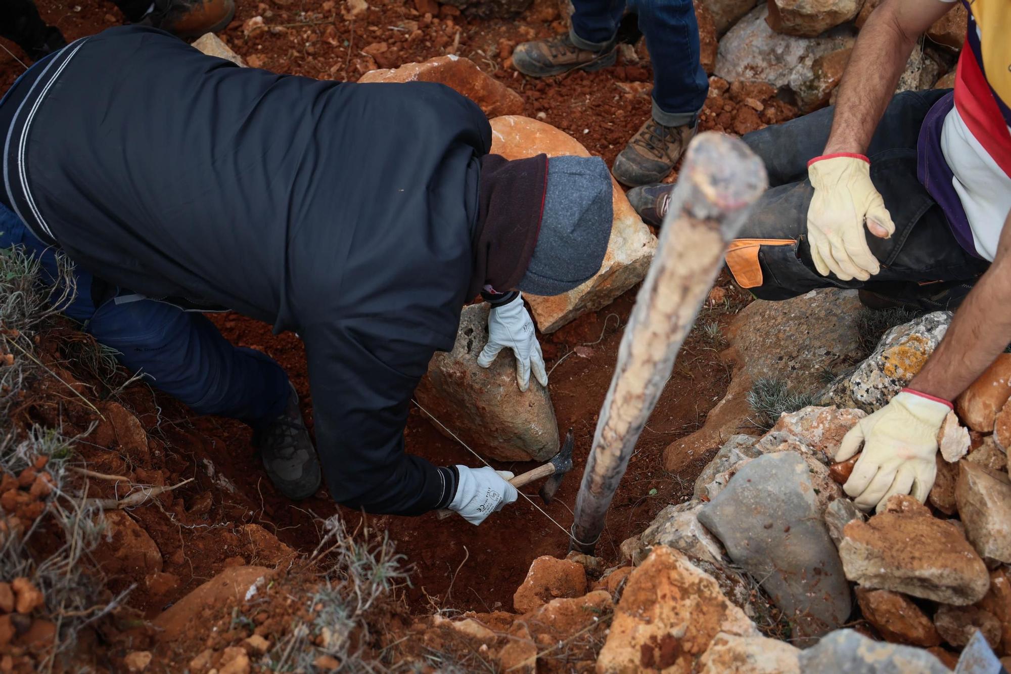 Galería: Reparación de la pared de piedra seca Joan d'en Micolau