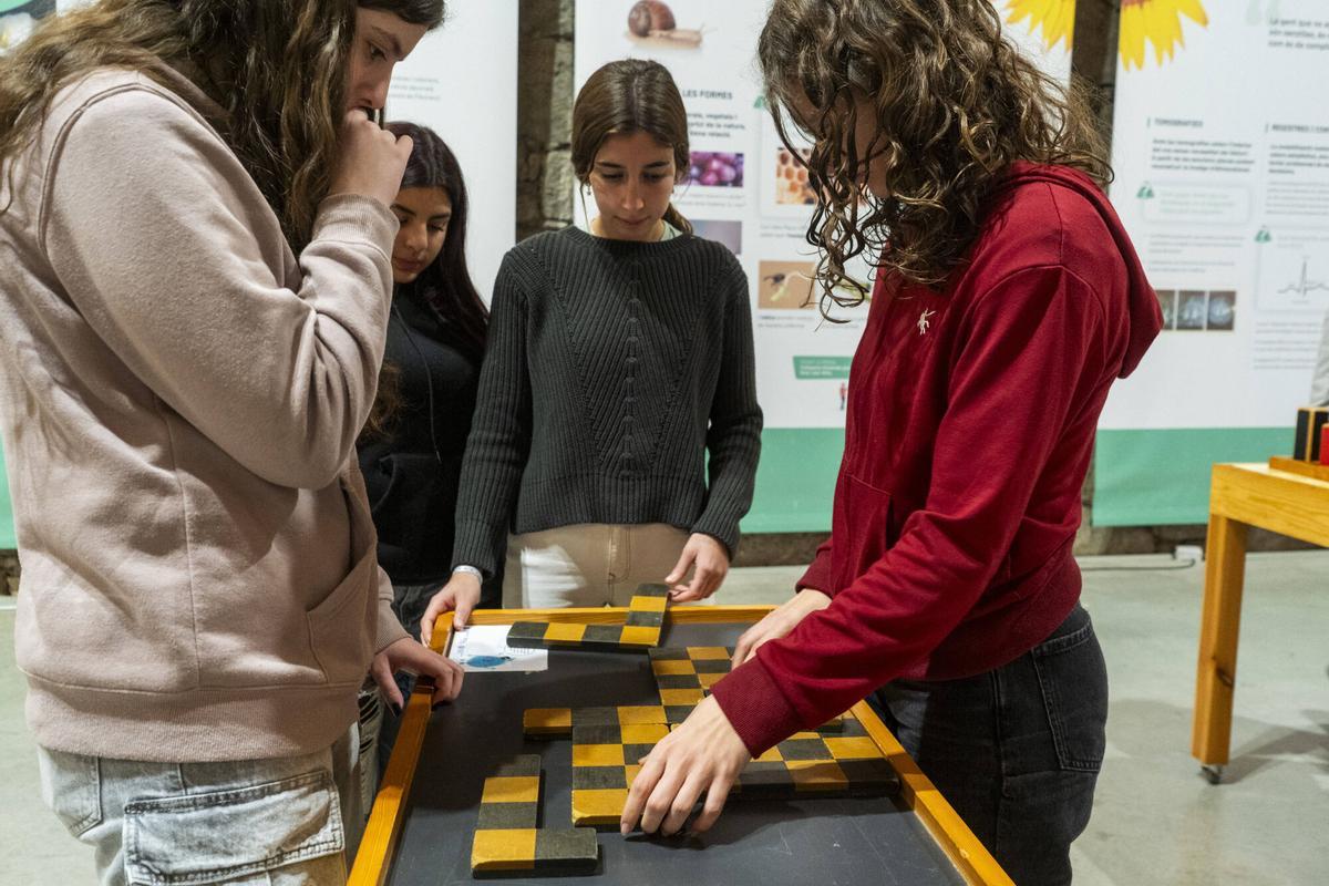 Totes les fotos de la jornada de tarda del programa 'Ambaixadores de les Matemàtiques' Totes les fotos de la jornada de tarda del programa 'Ambaixadores de les Matemàtiques'