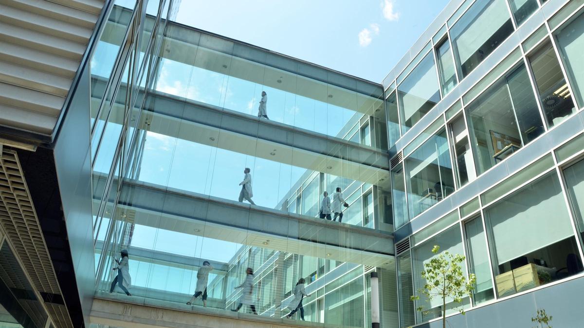 La UPV ha entregado sus premios a los mejores estudiantes del año.