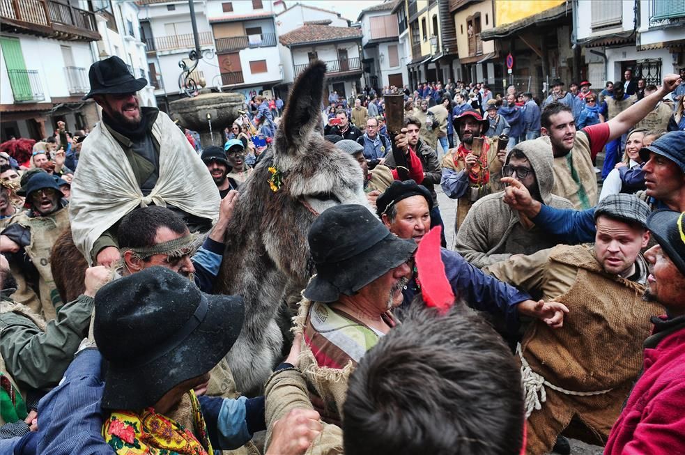 El Pero Palo de 2019 en imágenes