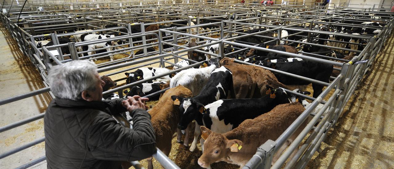 Imagen de la Central Agropecuaria de Silleda.