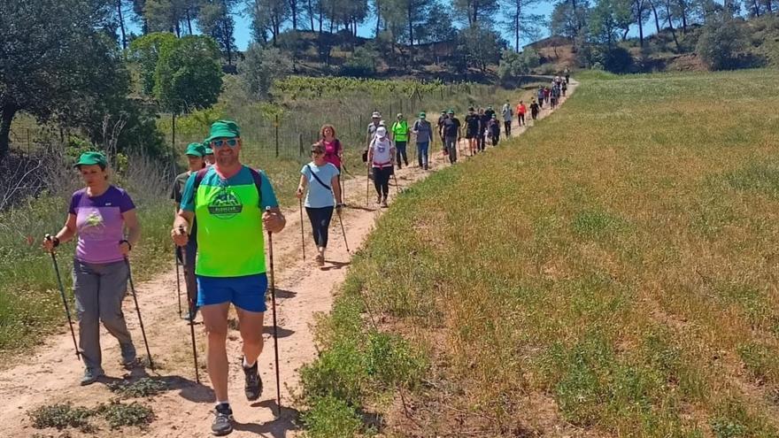 Un centenar de caminaires participen en la ‘Marxa nòrdica per a tothom’ de Sant Salvador de Guardiola