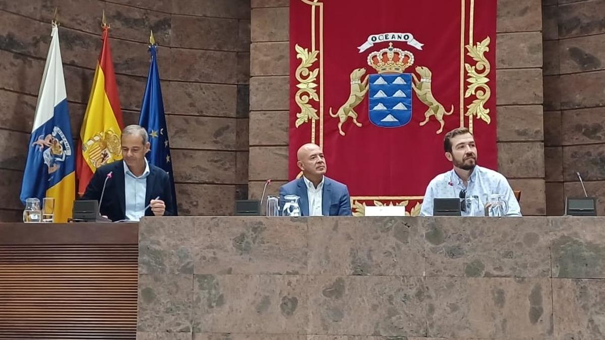 Jornadas de Infancia en el Parlamento canario