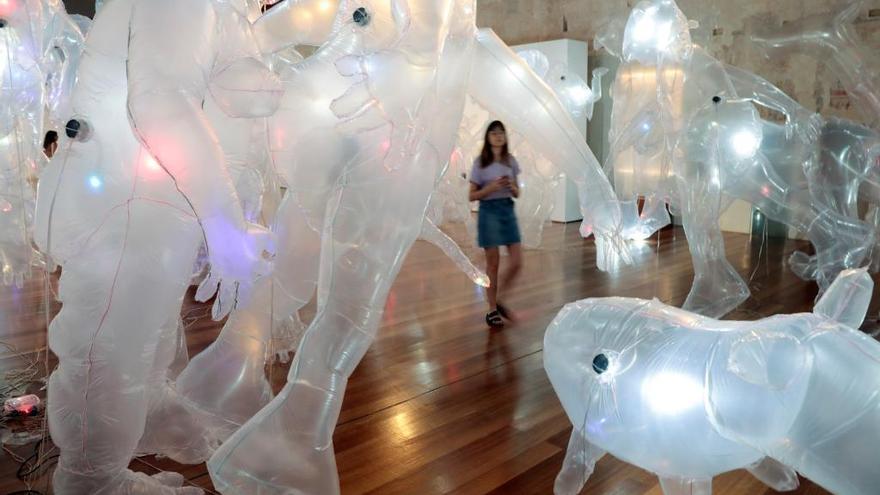 Muestra &#039;Olga Diego, Jardín Autómata&#039; en el Centre del Carme.