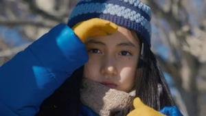 Els cicles de la natura