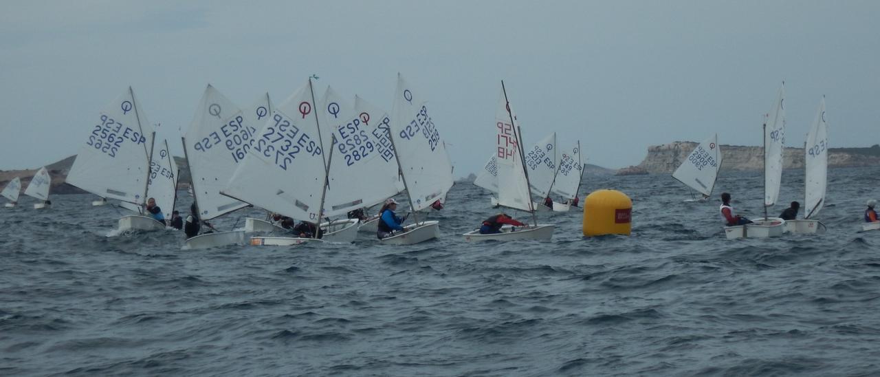 Una regata de la clase Optimist.