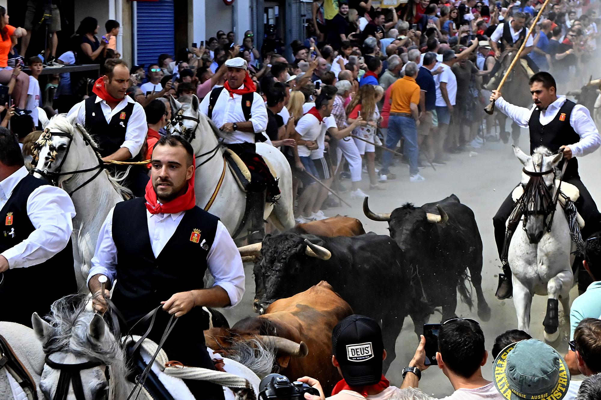 Las mejores fotos de la primera Entrada de Toros y Caballos de Segorbe tras la pandemia