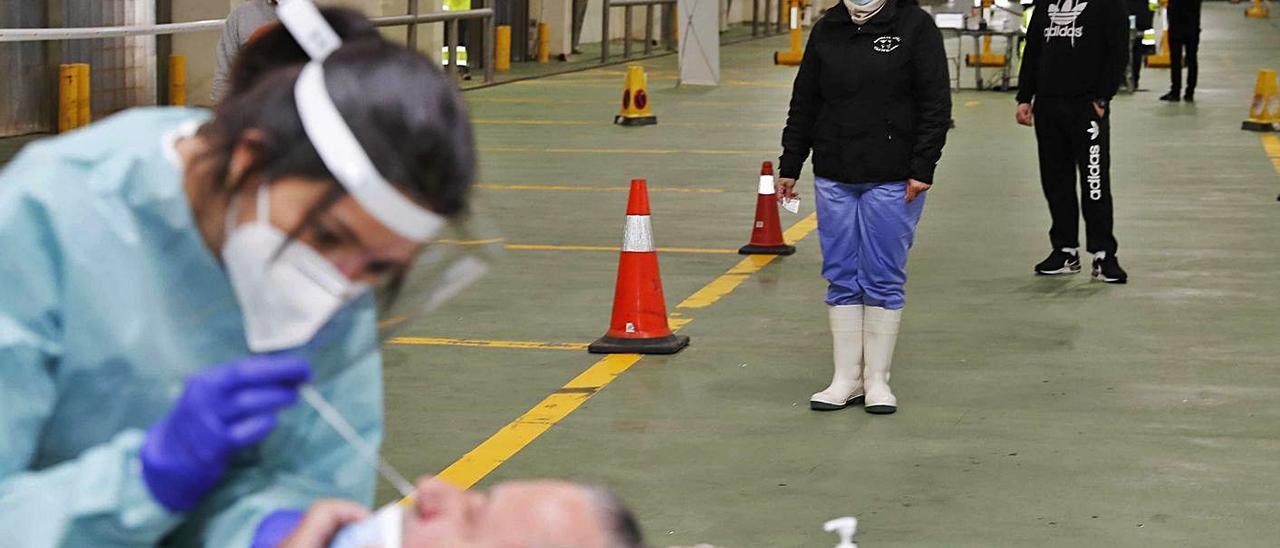 Trabajadores del Puerto se someten a una PCR el pasado lunes.