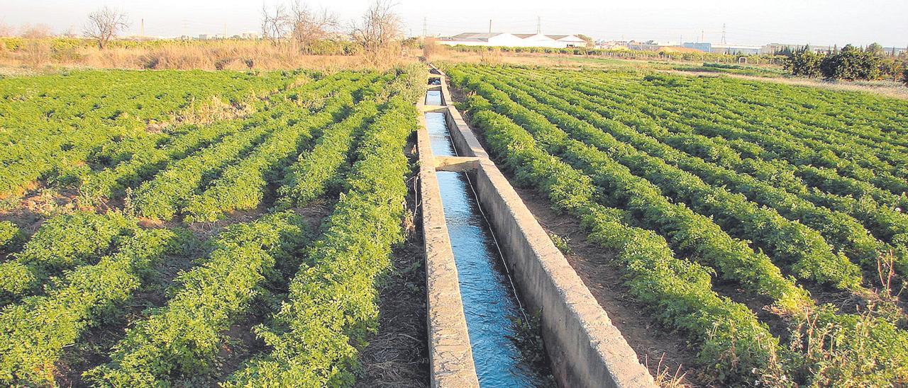 Los otros jueces de las aguas de riego