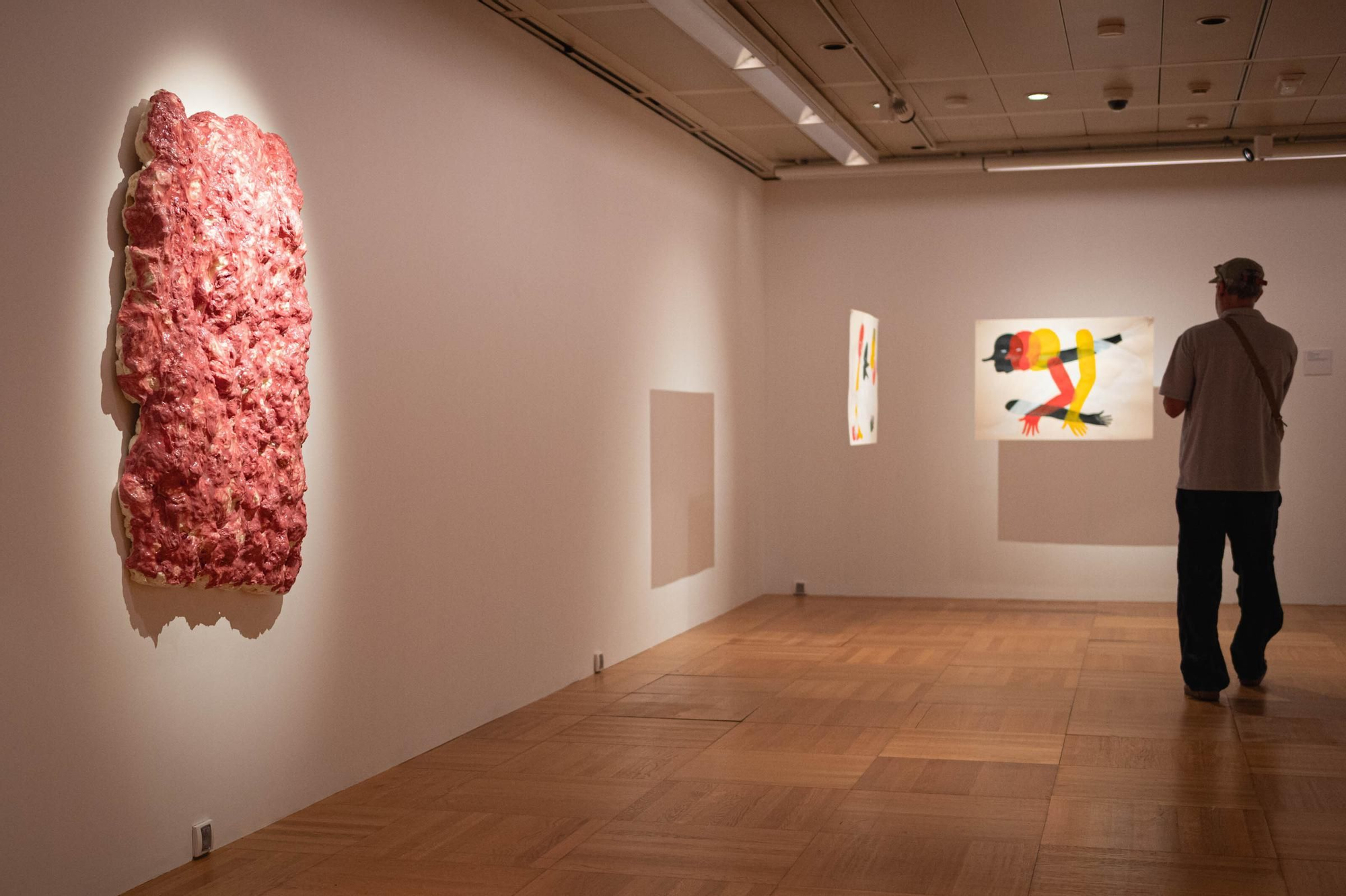 Exposición de seleccionados de los Premios de Artes Plásticas CajaCanarias