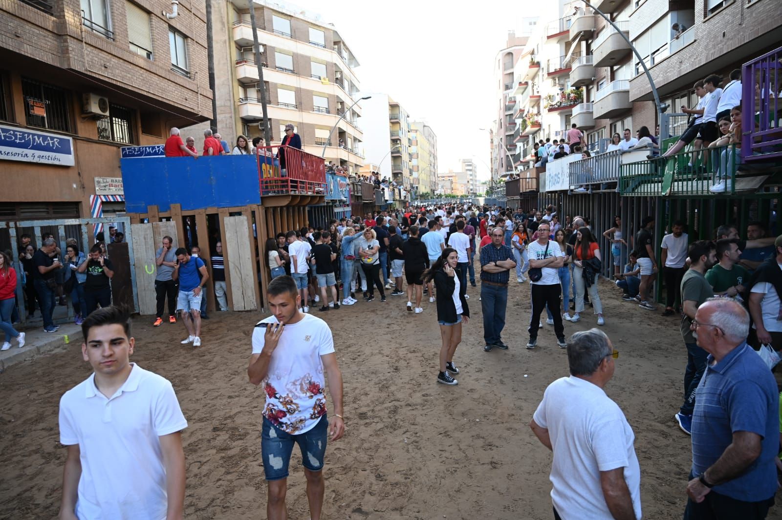 Bou per la vila en les Festes de San Pasqual de Vila-real