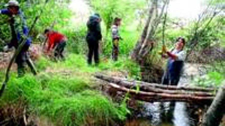 Los VoluntaRios cierran por vacaciones estivales