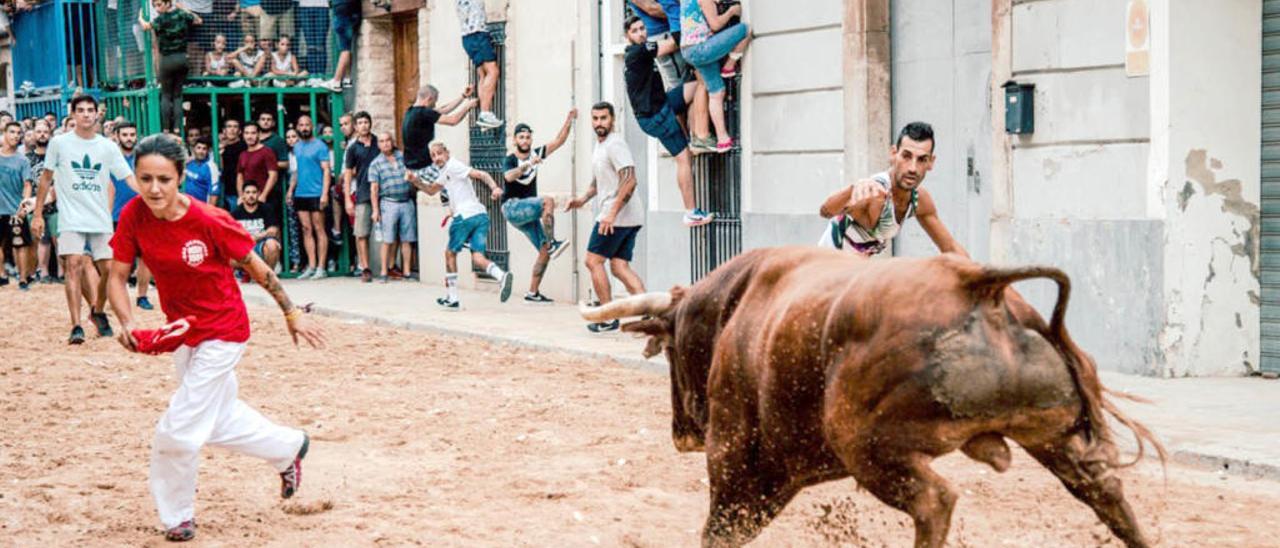 El cerril más caro de la historia llega a Borriana