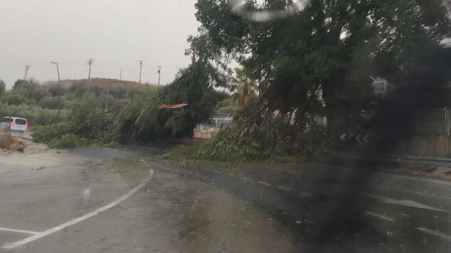 Alarma en la Región de Murcia por granizada y vientos fuertes: caen 50 rayos por minuto en Calasparra