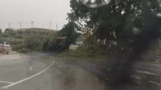Alarma en la Región de Murcia por granizada y vientos fuertes: caen 50 rayos por minuto en Calasparra
