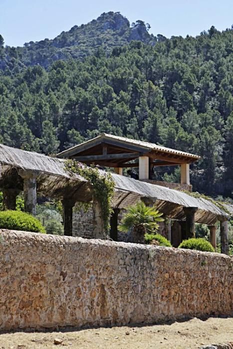 Die Kunsthistorikerin Júlia Ramon erklärt auf einem Rundgang durch die Jardins d’Alfàbia, aus welcher Zeit die Allee, die Wasserspiele und die Bäume stammen