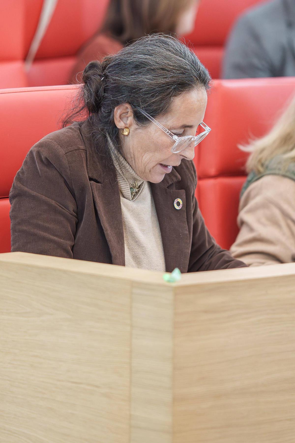 La sesión plenaria en el Ayuntamiento de Mérida se ha prolongado durante más de dos horas.