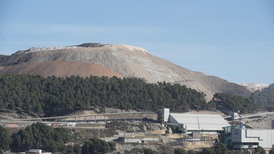 L&#039;estat dels runams salins: un panorama divers a 50 anys vista