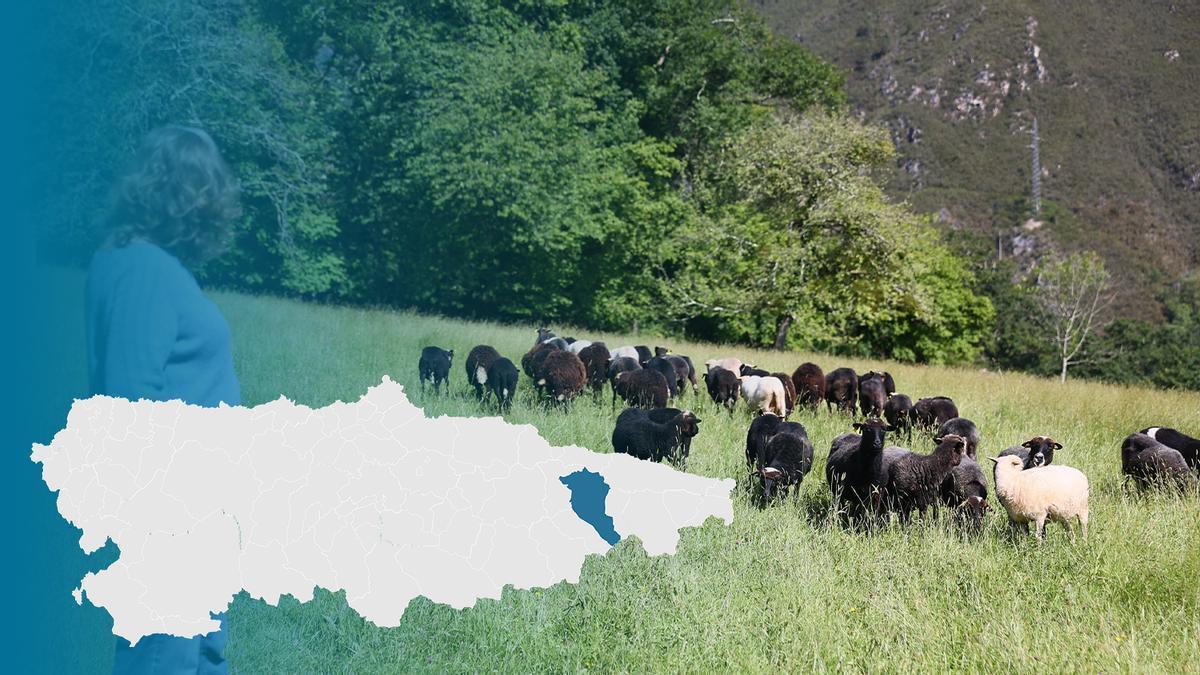 Adelantados en Cangas de Onís
