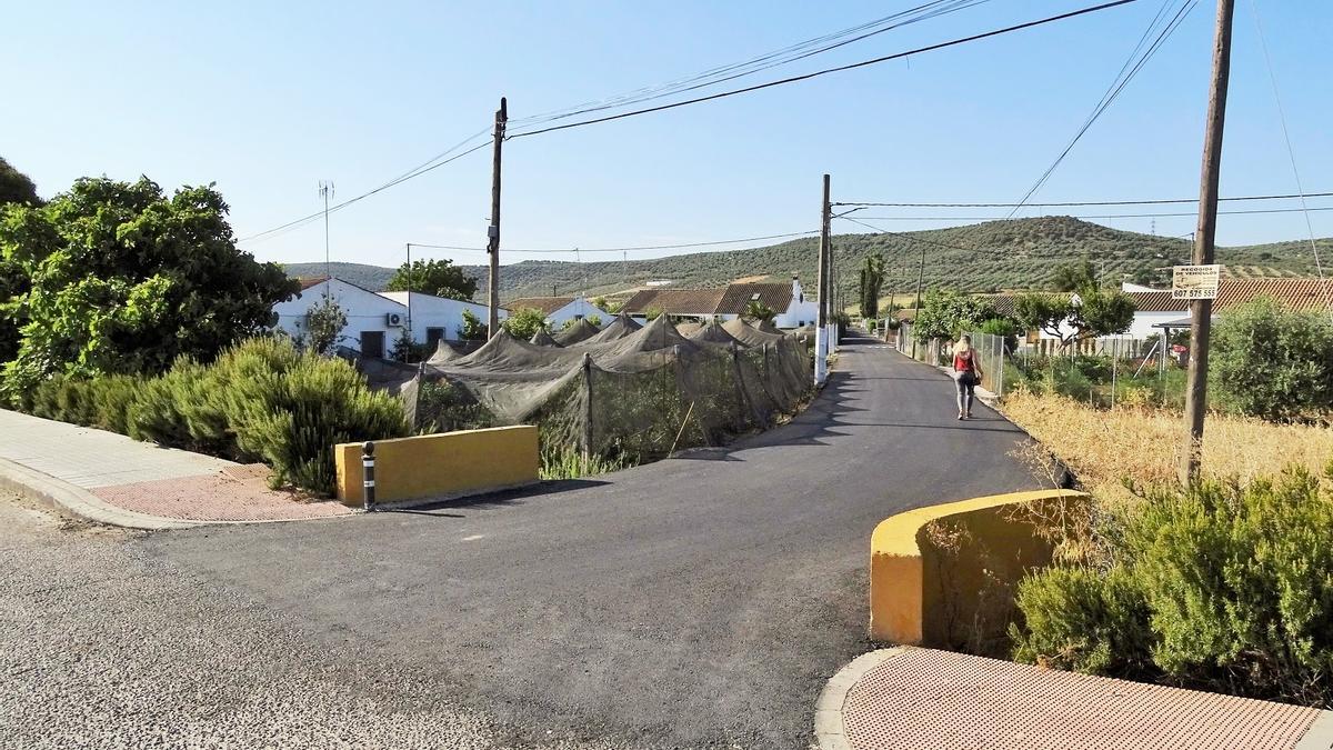 Estado en el que ha quedado una de las calles de los huertos familiares de Villa del Río.