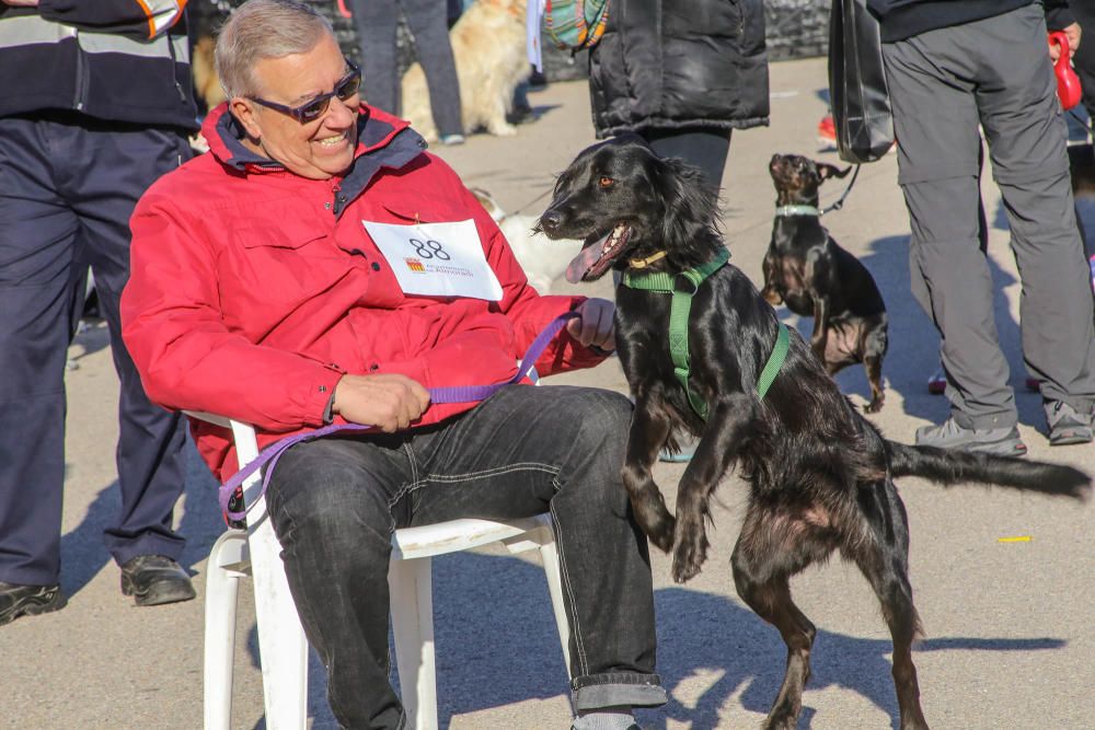 Almoradí celebra su primera Caminata Solidaria con animales