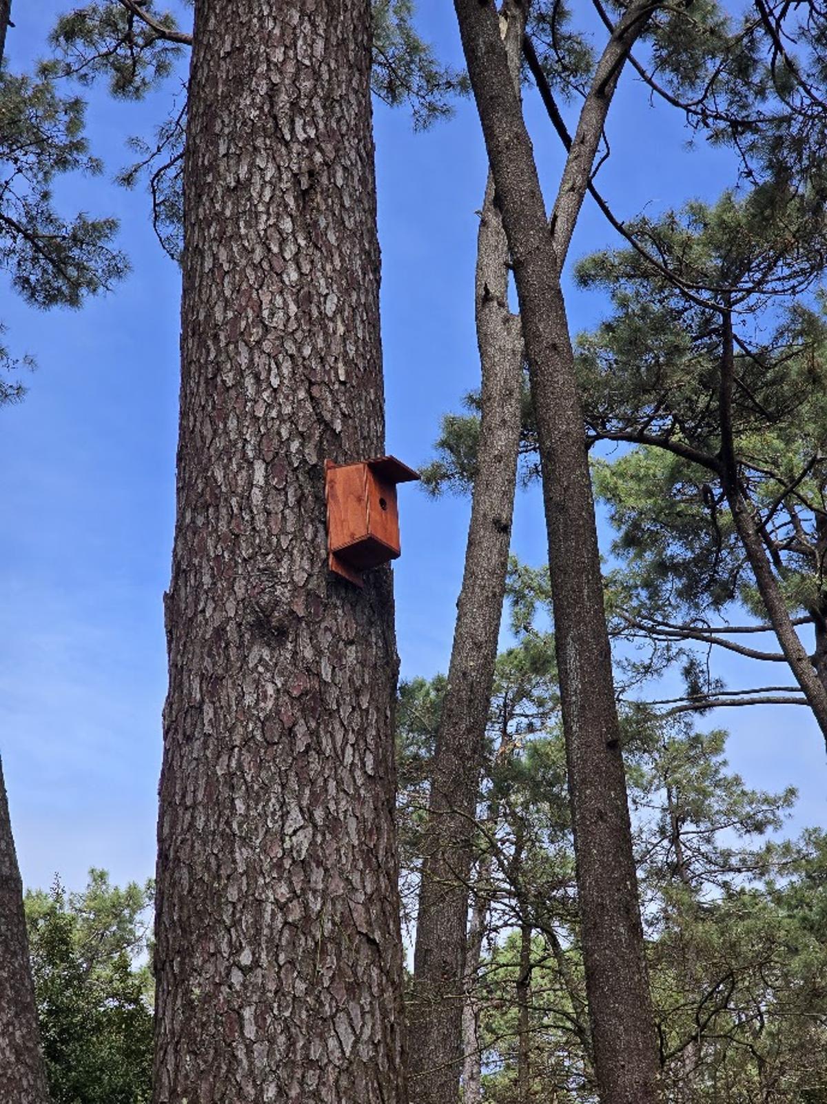 Una de las flamantes cajas nido.