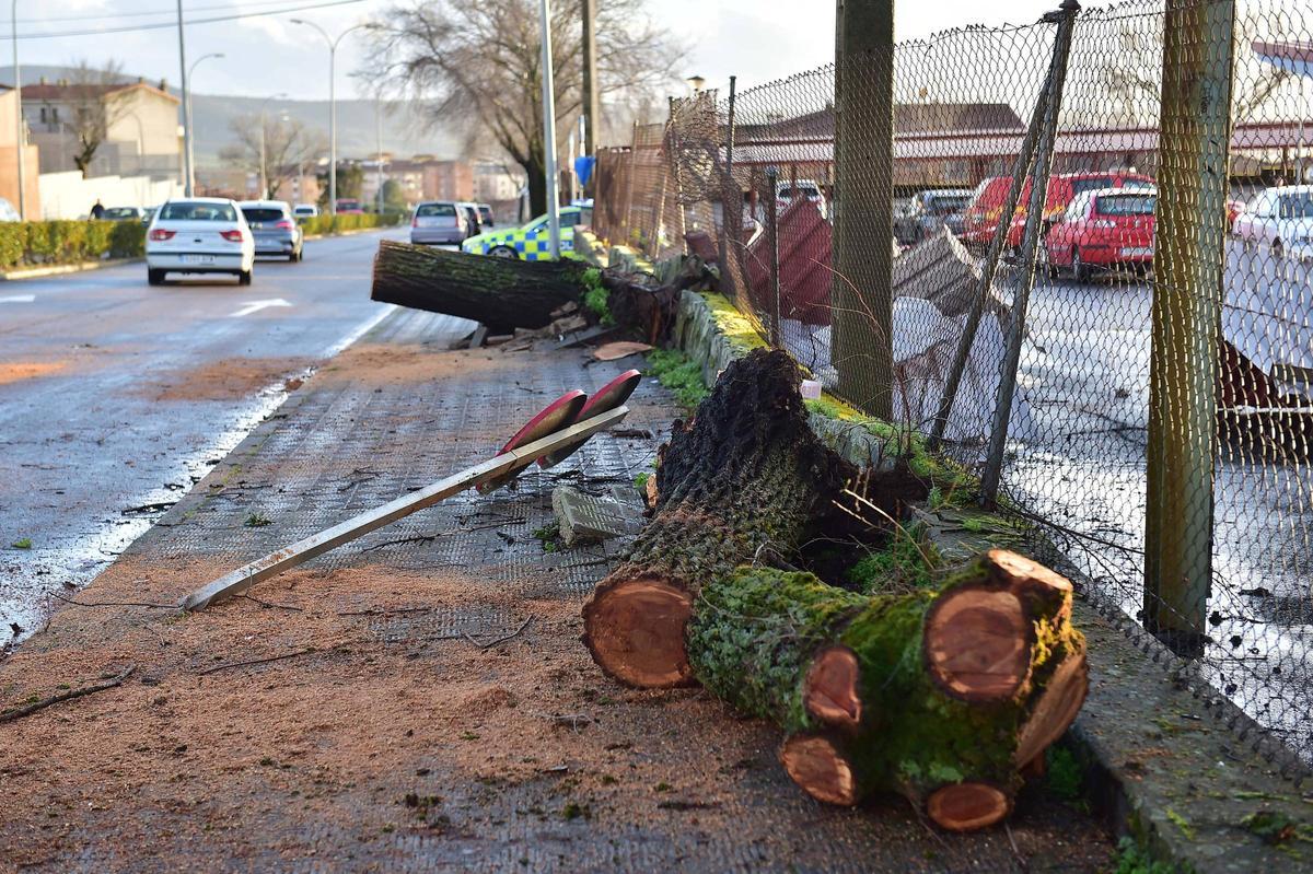 Fotogalería | Un tornado arrasa la zona del aparcamiento del hospital Virgen del Puerto de Plasencia