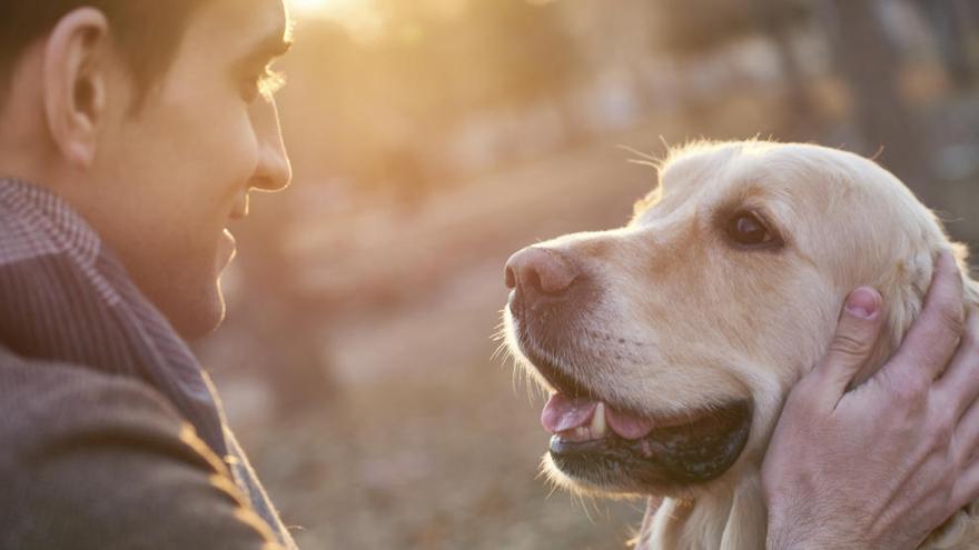 &quot;Amores perros&quot;, nuevo programa de Cuatro