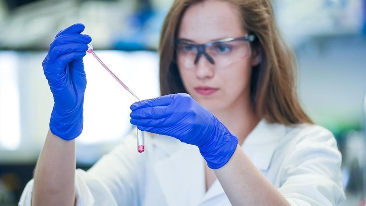 Las titulaciones sanitarias y técnicas son las que están teniendo más empleabilidad.
