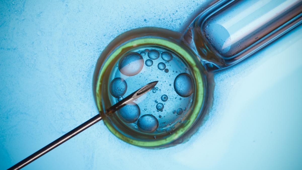 Preservación de la fertilidad cuando te detectan cáncer: técnicas y qué hacer