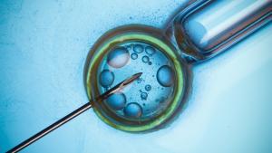 Preservación de la fertilidad cuando te detectan cáncer: técnicas y qué hacer