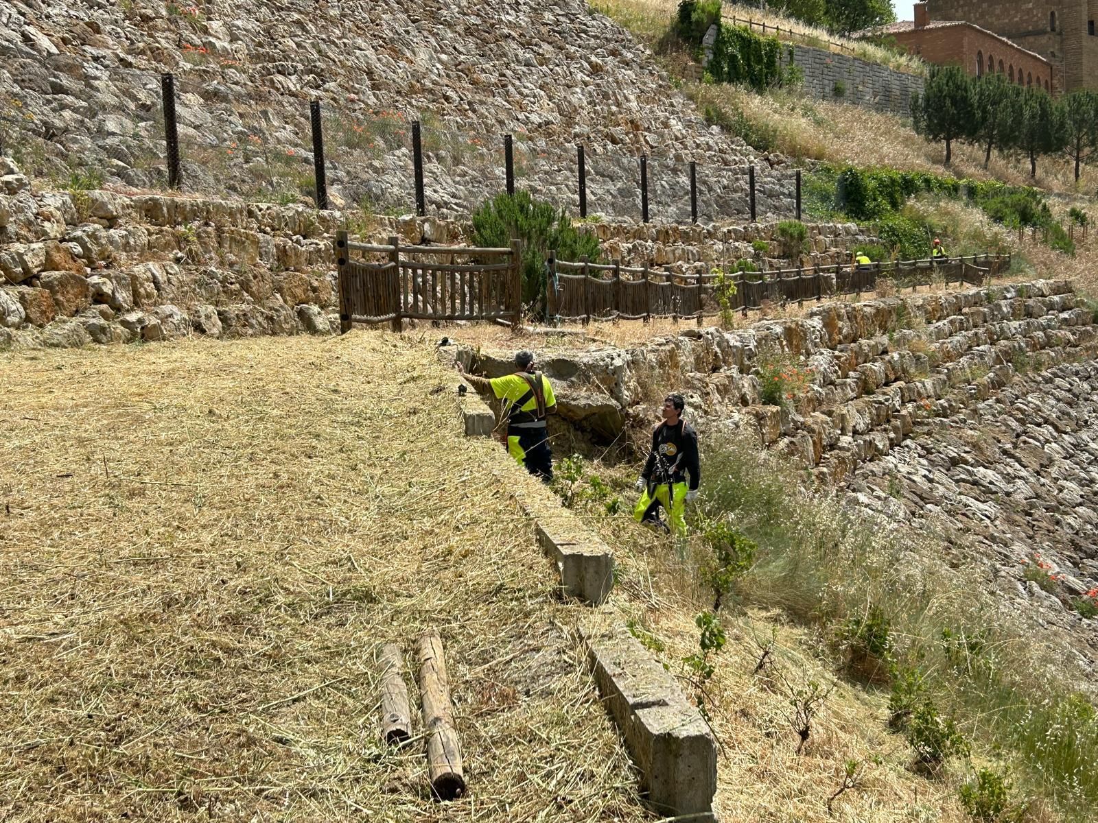 GALERÍA | Labores de desbroce en espacios públicos