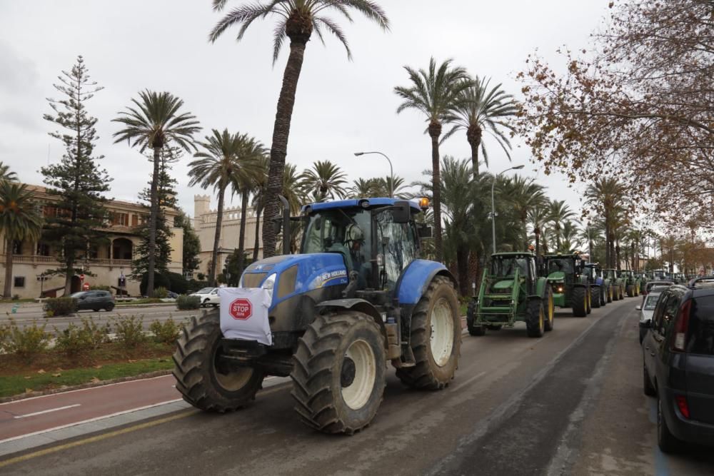 Tractorada sorpresa de los agricultores de Mallorca contra el Govern Armengol