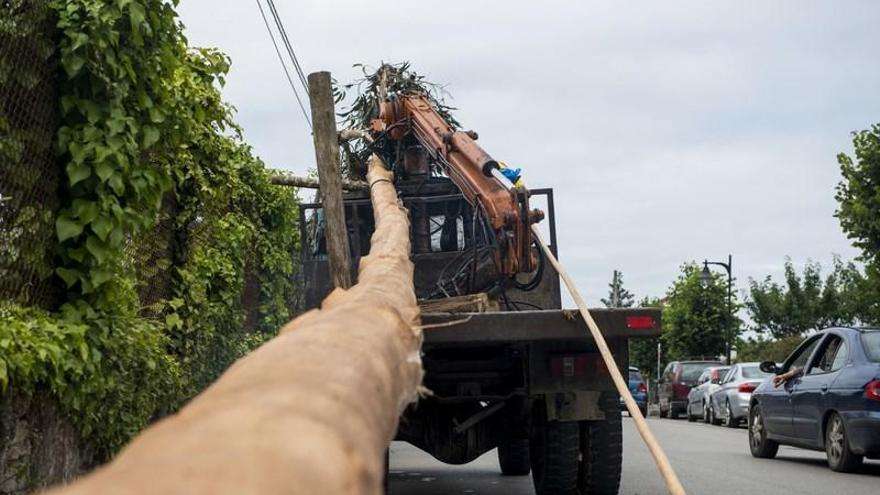 Celoriu planta 35 metros de tradición