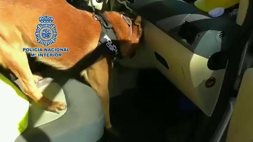 Un perro policía encuentra en dos coches 54.000 euros