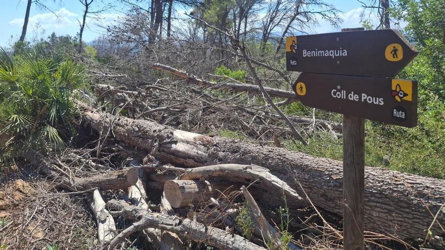 Otro bosque arrasado en el Montgó: desastre forestal en la ruta del Coll de Pous a Benimaquia de Dénia