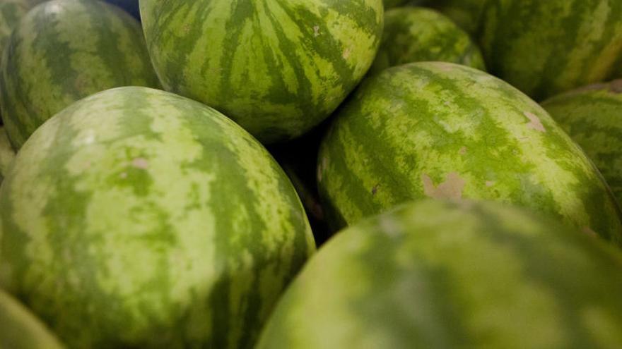 Los melones serán exhibidos este fin de semana.