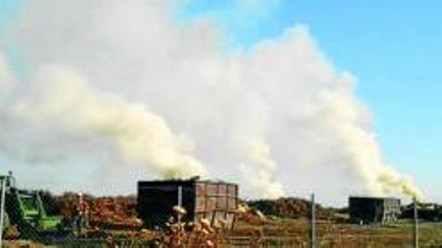 Conductores se ven afectados por el humo de una carbonera de Almendralejo