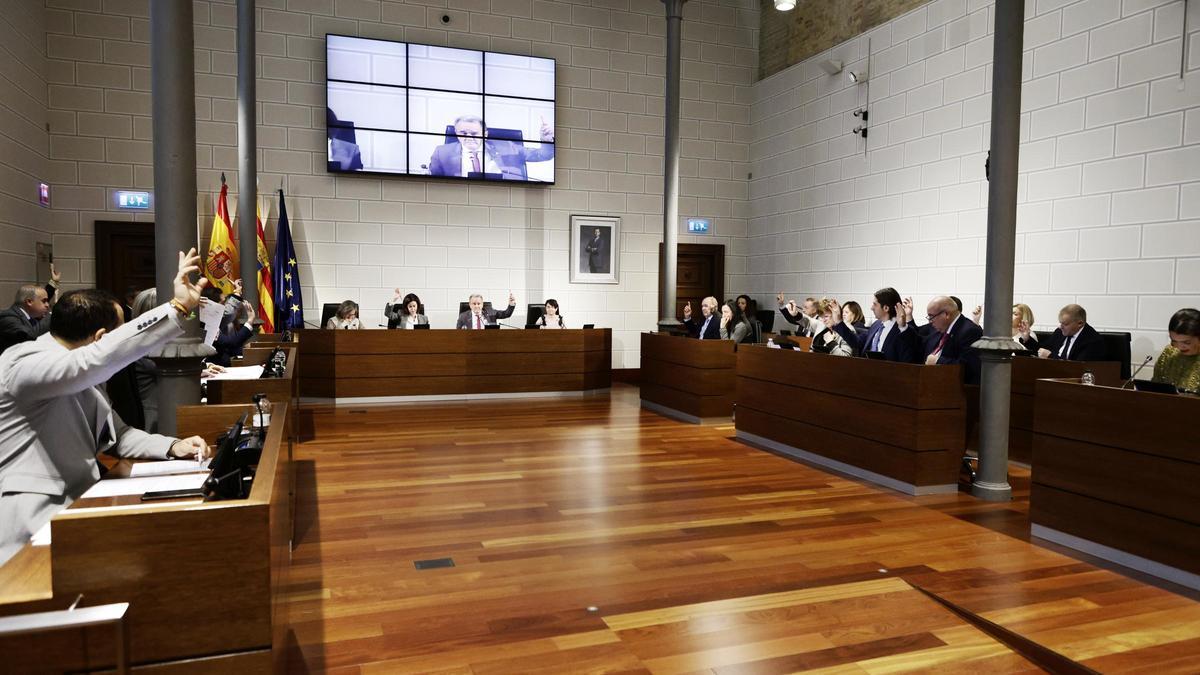 Un momento del pleno celebrado en la DPZ.