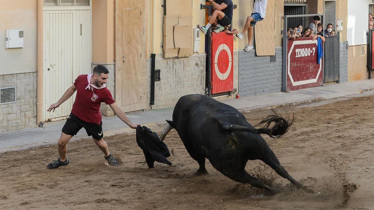 El Quinto patrocinó el primer toro de la segunda jornada taurina, un ejemplar de Torrehandilla.