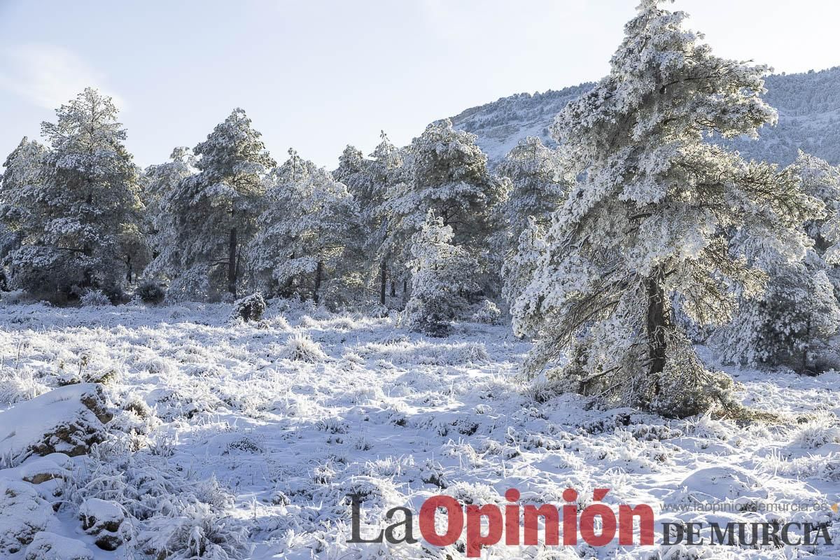 Descubre dónde queda acumulación de nieve en la Región de Murcia