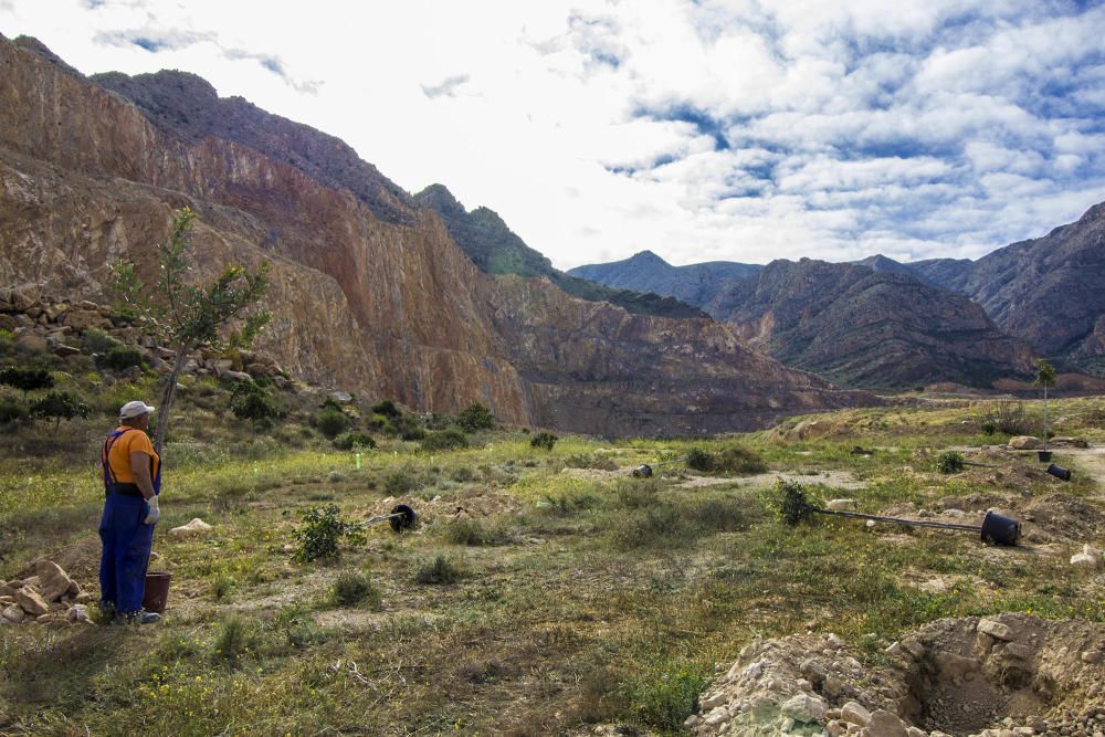 Proyecto para convertir la cantera de Cox en zona verde