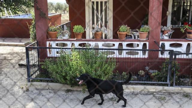 El perro del matrimonio permanecía ayer en la casa, que ha sido precintada por la Guardia Civil. |