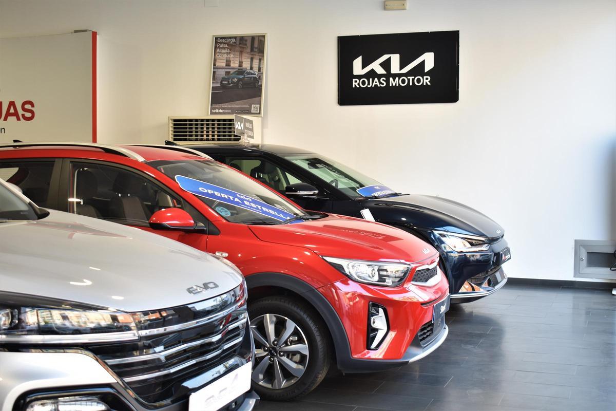Sala de exposición de vehículos Kia, EVO y Santana en Kia Rojas Motor