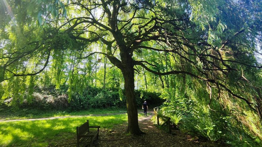 La pequeña cascada y la laguna de La Cebera, en vídeo