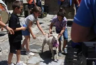 Lalín de Arriba volve a poxar