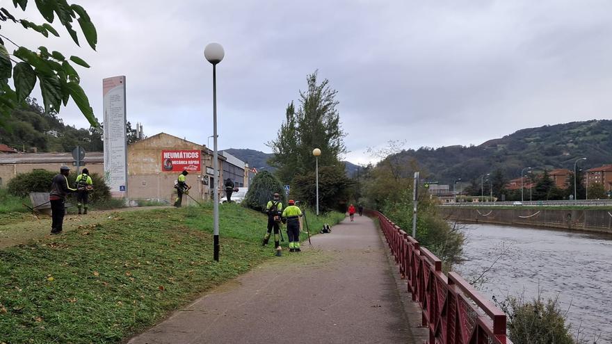 Mieres despeja el camino que conduce a Los Mártires: desbrozan la ruta que lleva a Insierto