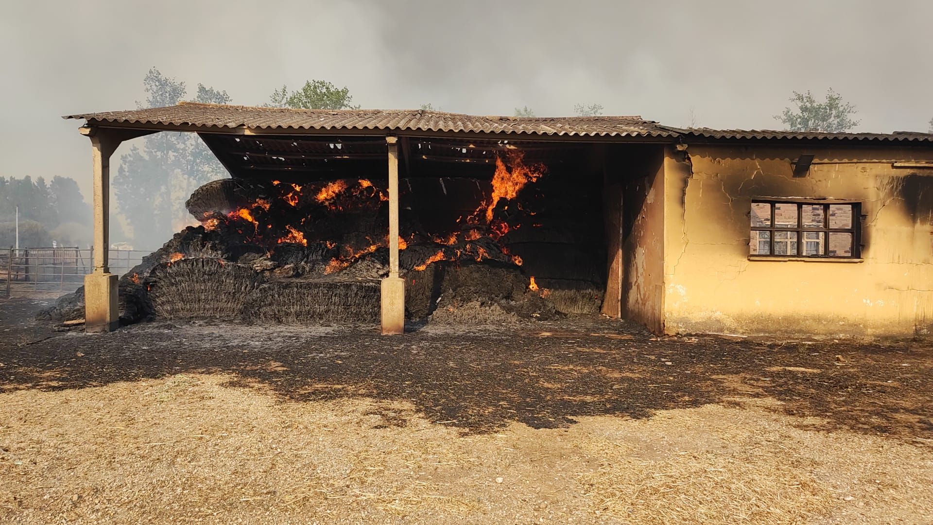 El incendio llega a la nave de Aszal de burros zamorano-leoneses