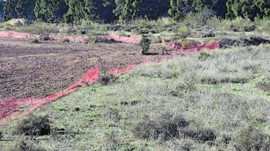 Proyecto Bosque de los Zaragozanos. Dudas y preguntas