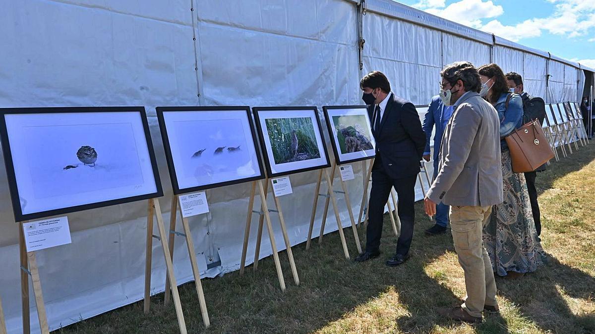 Juan Carlos Suárez-Quiñones observa la exposición fotográfica de Carlos Sánchez. | Junta